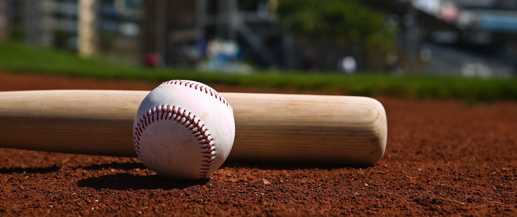 baseball and bat on baseball field